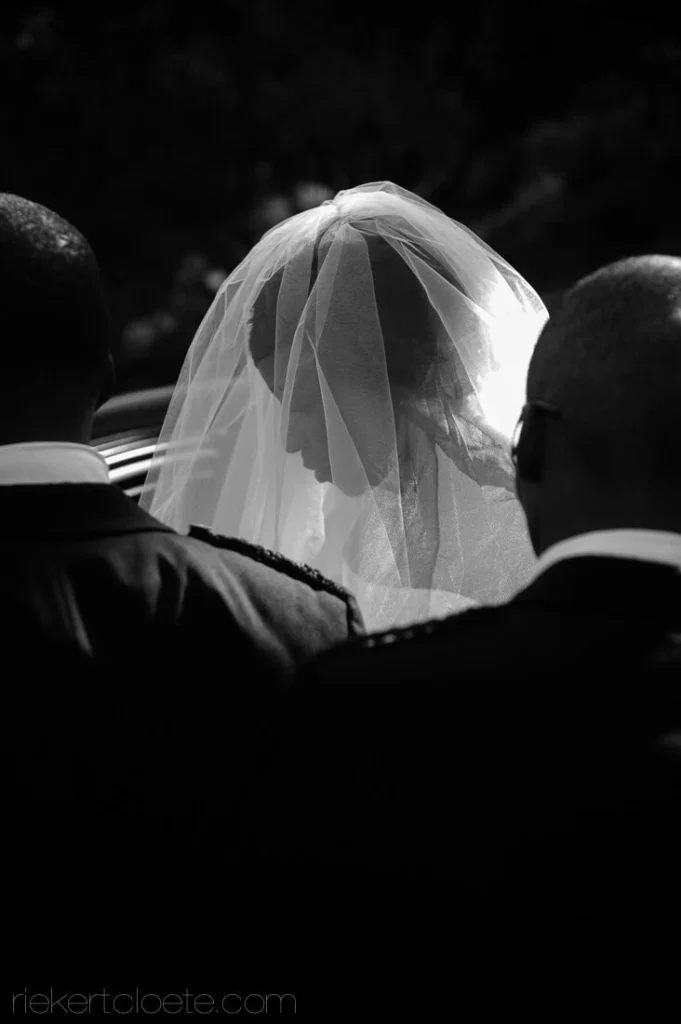 bride veil glowing backlight outdoor ceremony