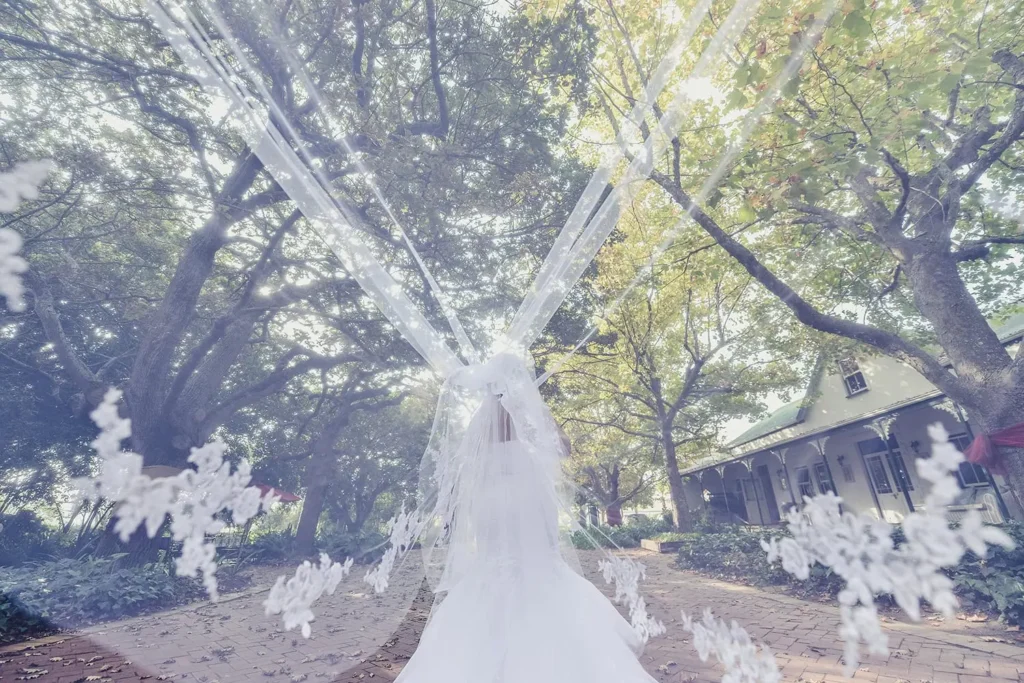bride veil spread wide garden path cape style house