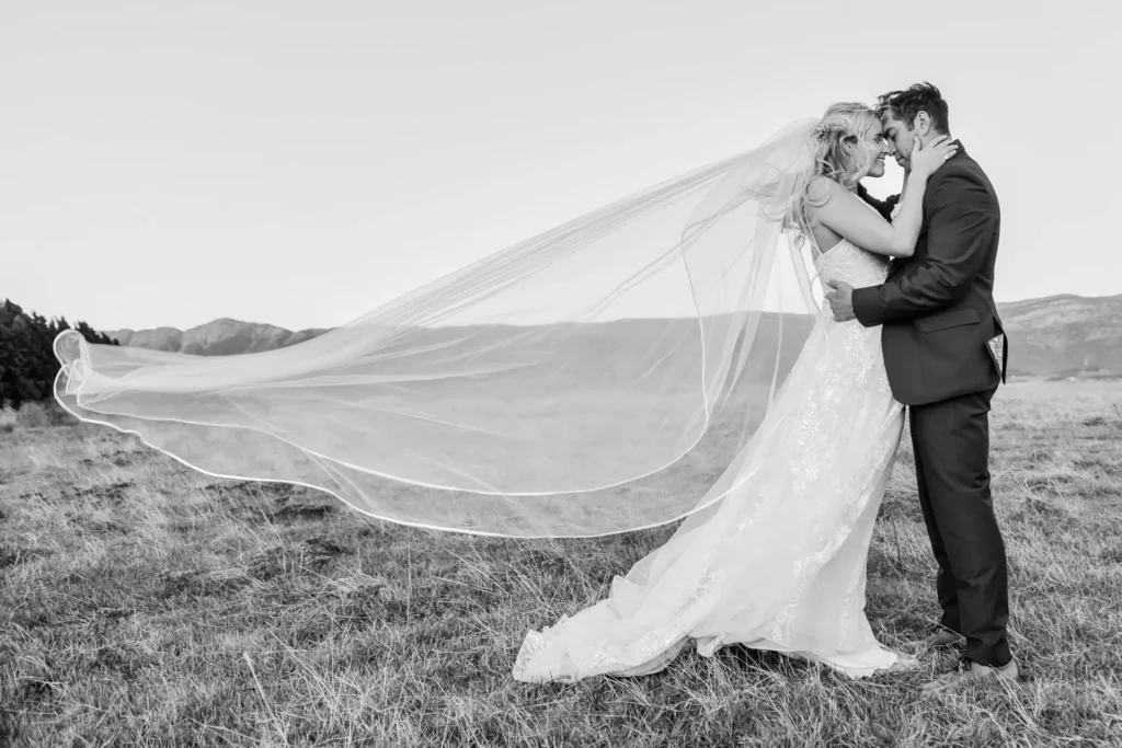 bride veil sweeping wind open hillside black white