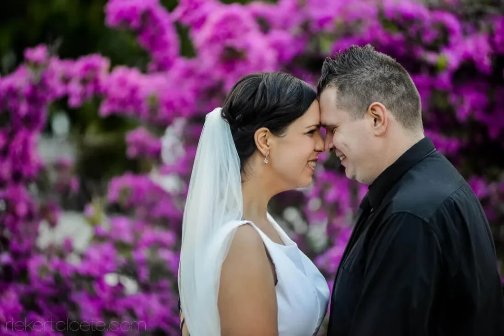 cabriere couple bougainvillea garden portrait