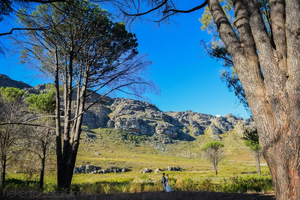 clanwilliam wedding couple tree lined mountain valley