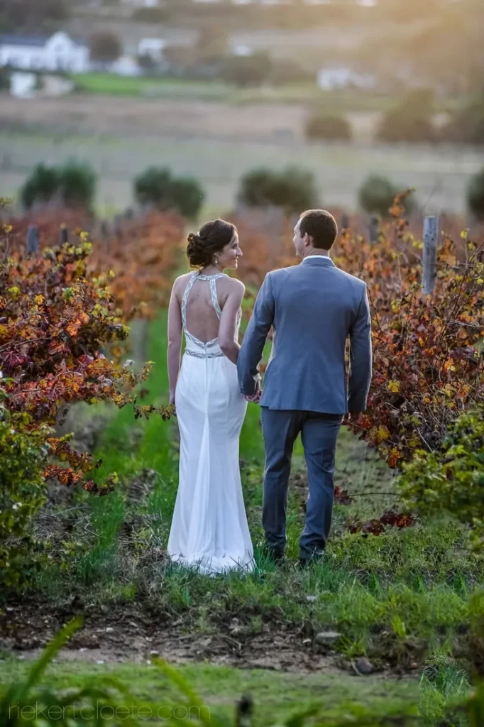 couple autumn vineyard red leaves cape dutch