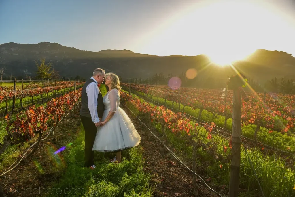 couple autumn vineyard red vines mountain sunset