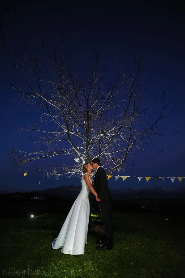 couple bare tree garden night bunting flags