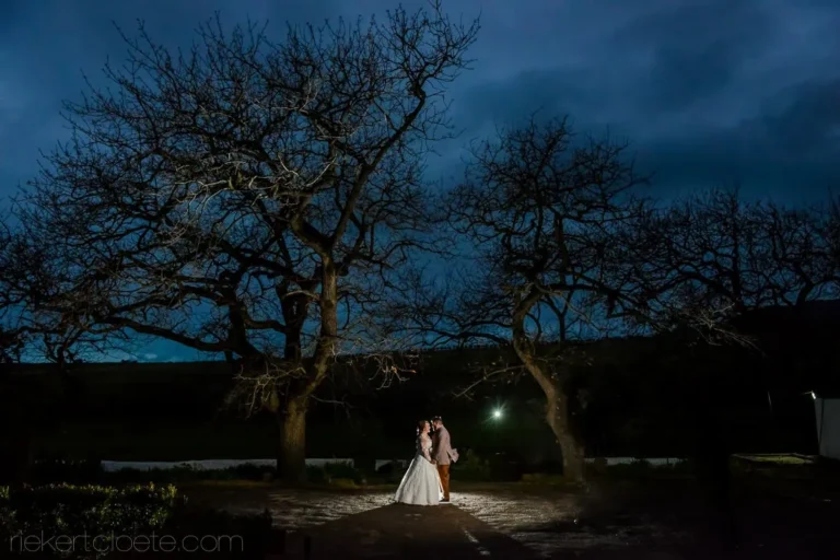 couple bare winter trees night blue stormy sky