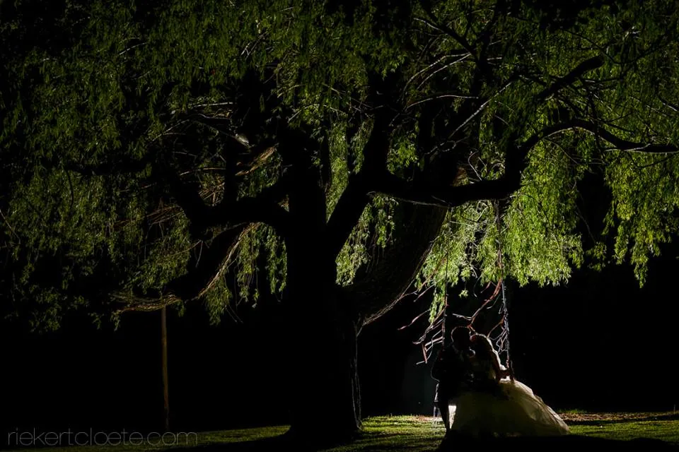 couple beneath weeping tree dark night wedding