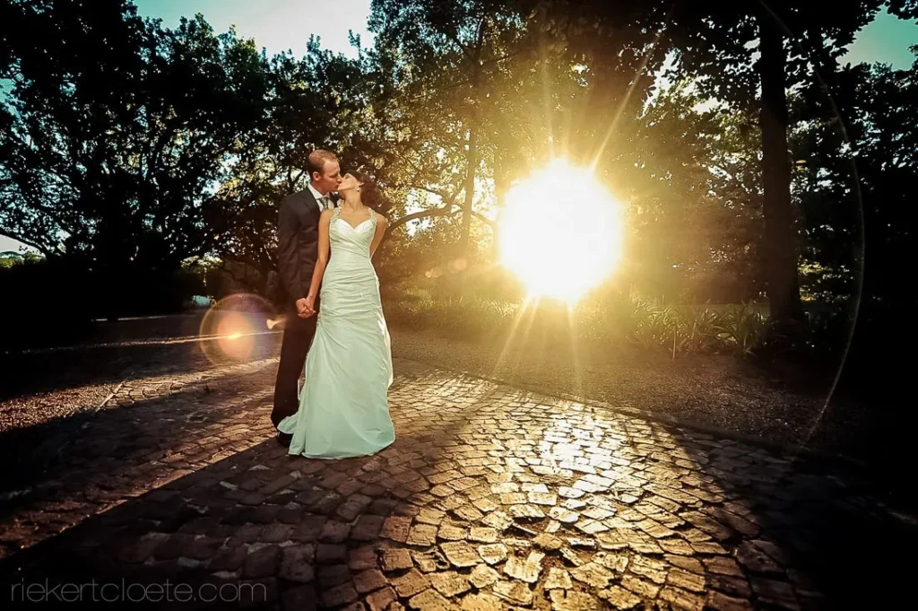 couple cobblestone path golden sunburst trees