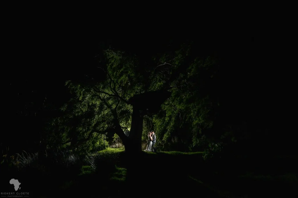 couple dark forest night dramatic tree lighting