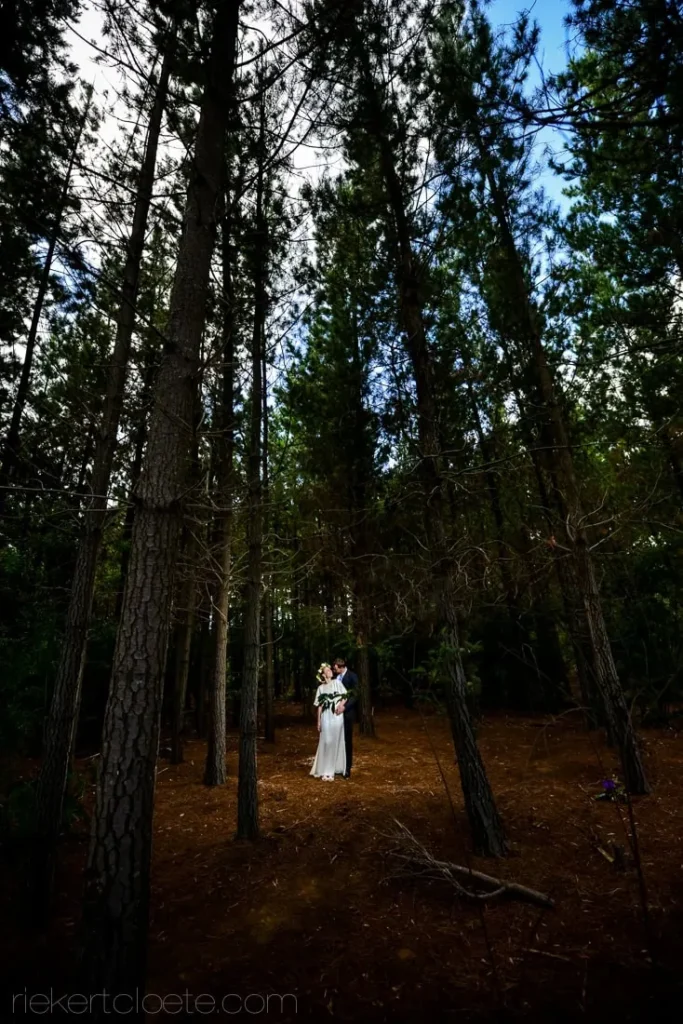 couple embracing tall pine forest red earth