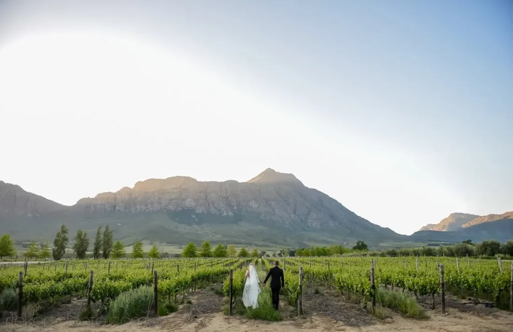 couple embracing vineyard sunset mountain backdrop