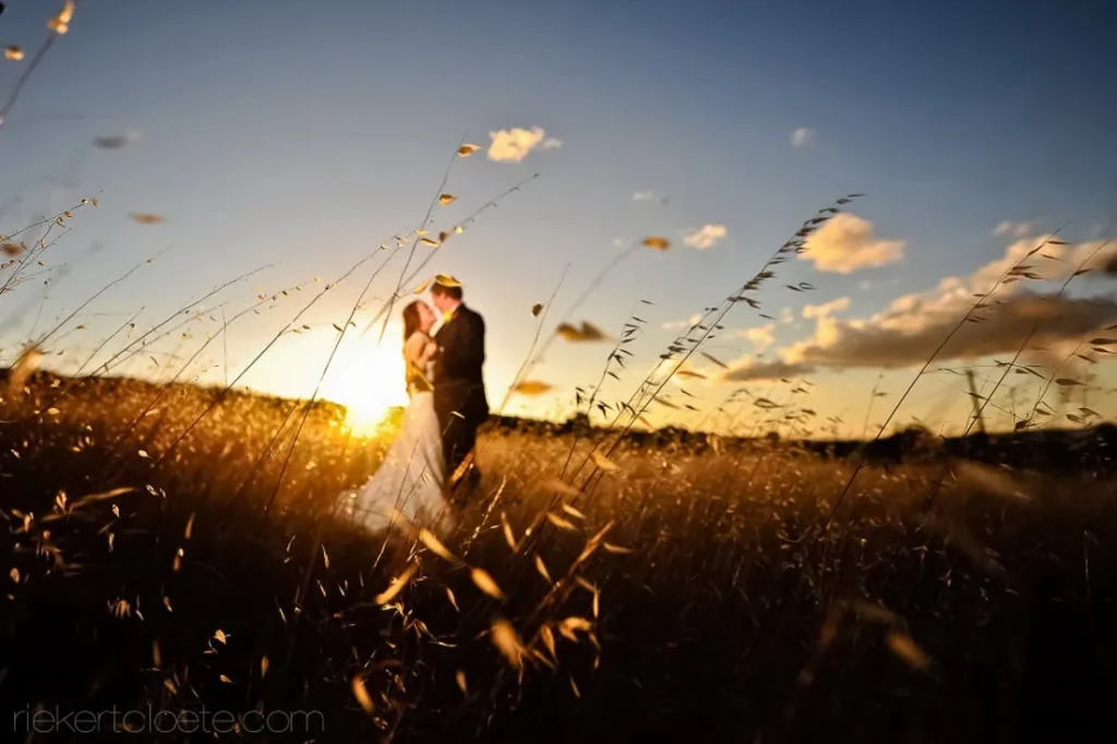 couple embracing wheat field golden sunset