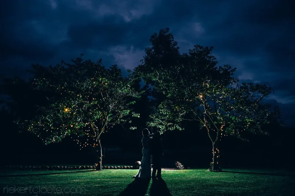 couple fairy light trees garden romantic nightshot