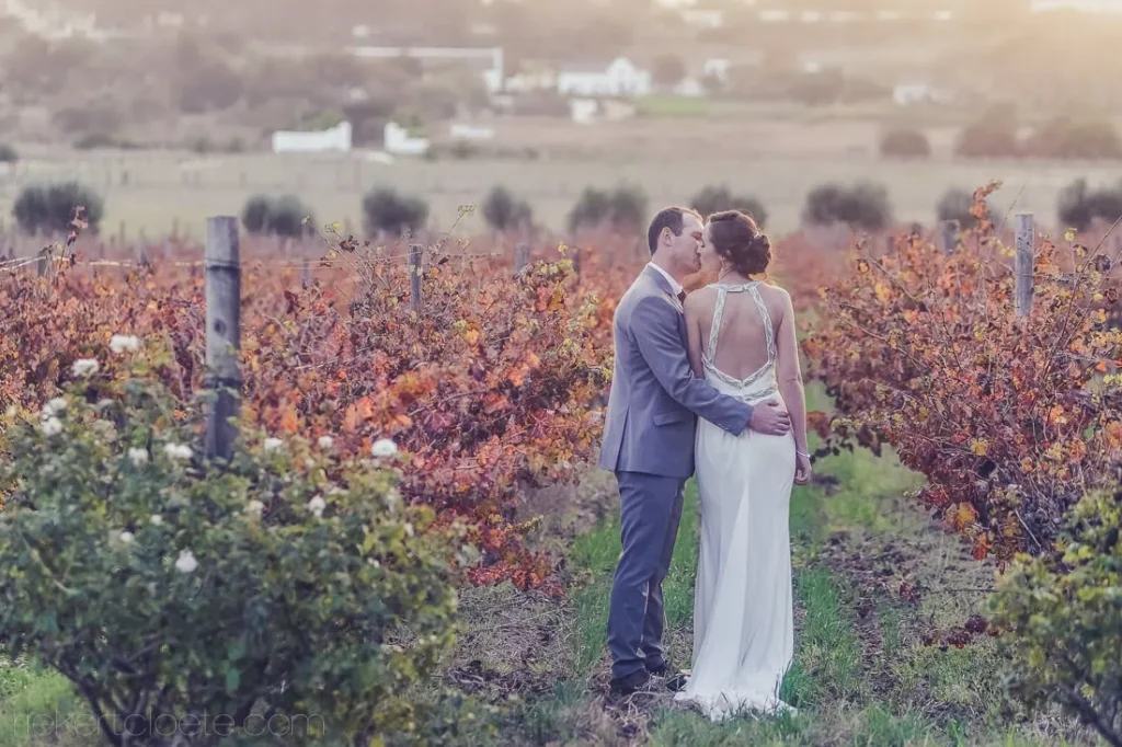 couple kissing autumn vineyard cape winelands