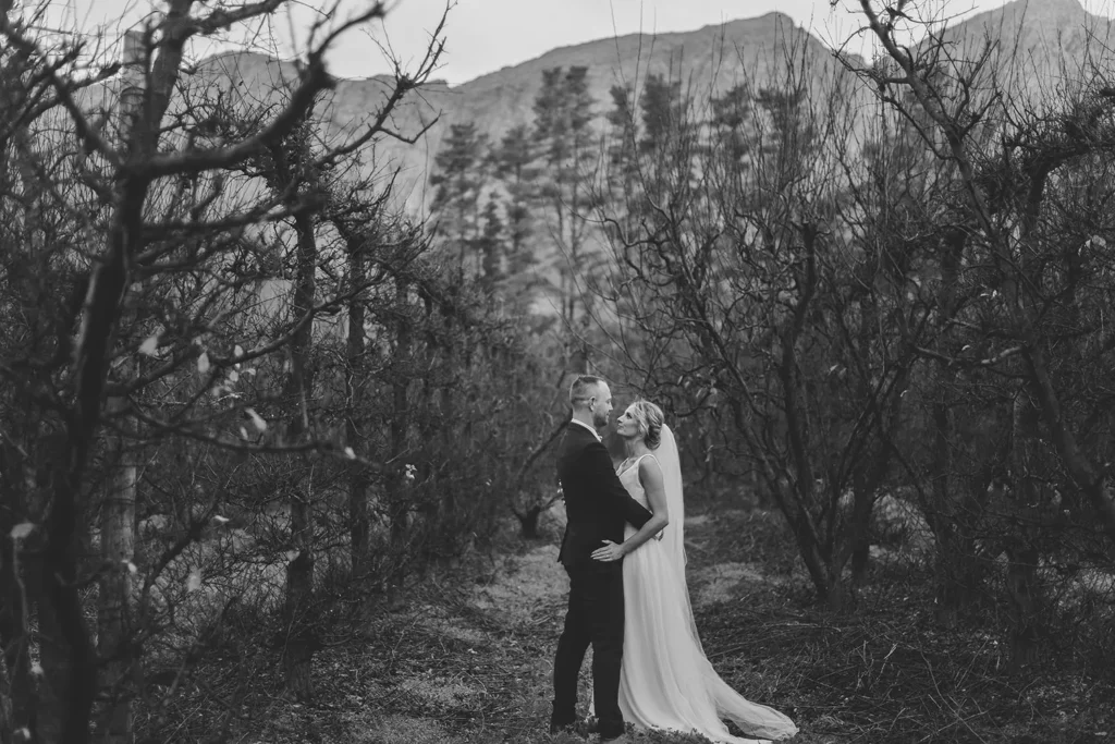 couple kissing bare orchard mountain black white