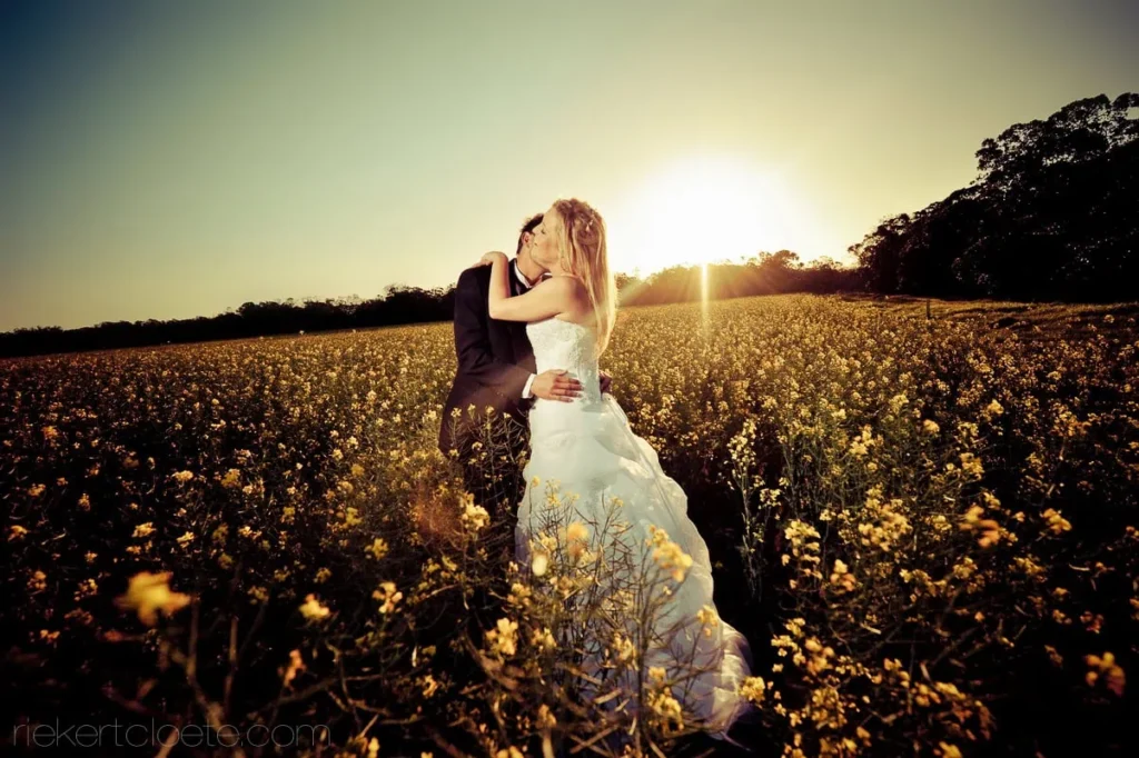 couple kissing canola flower field golden sunset