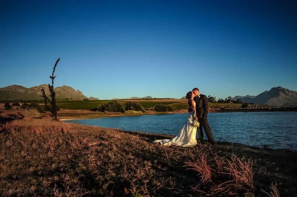 couple kissing farm dam golden hour dead tree