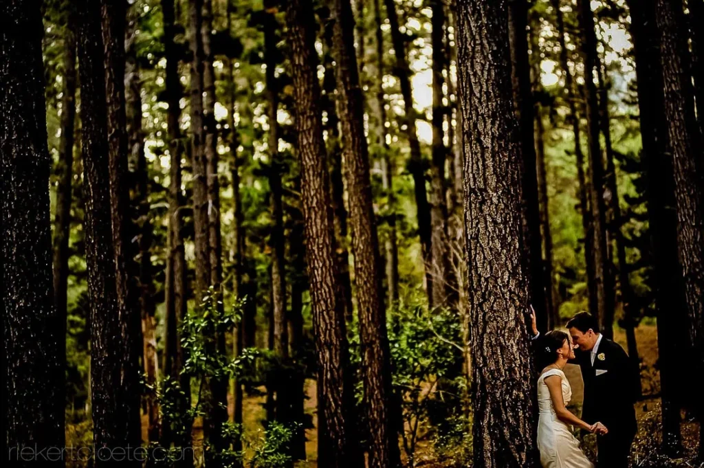 couple kissing pine tree forest dappled light