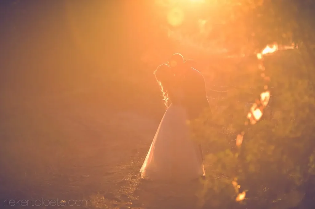 couple kissing vineyard pathway glowing sunflare