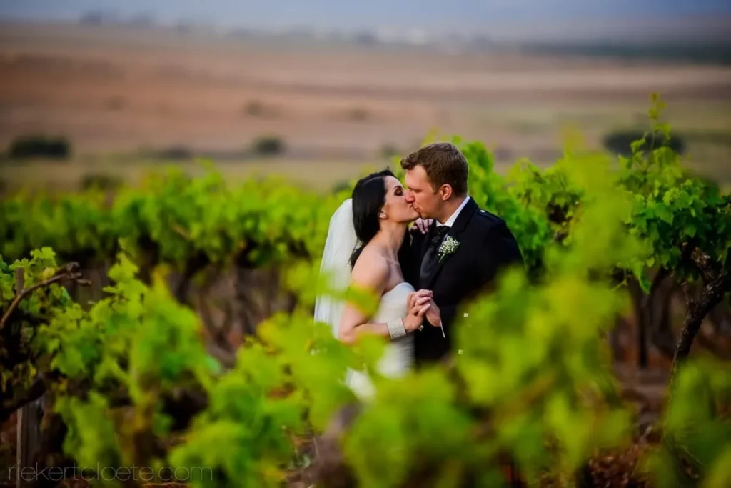 couple kissing winelands vineyard veil mountains