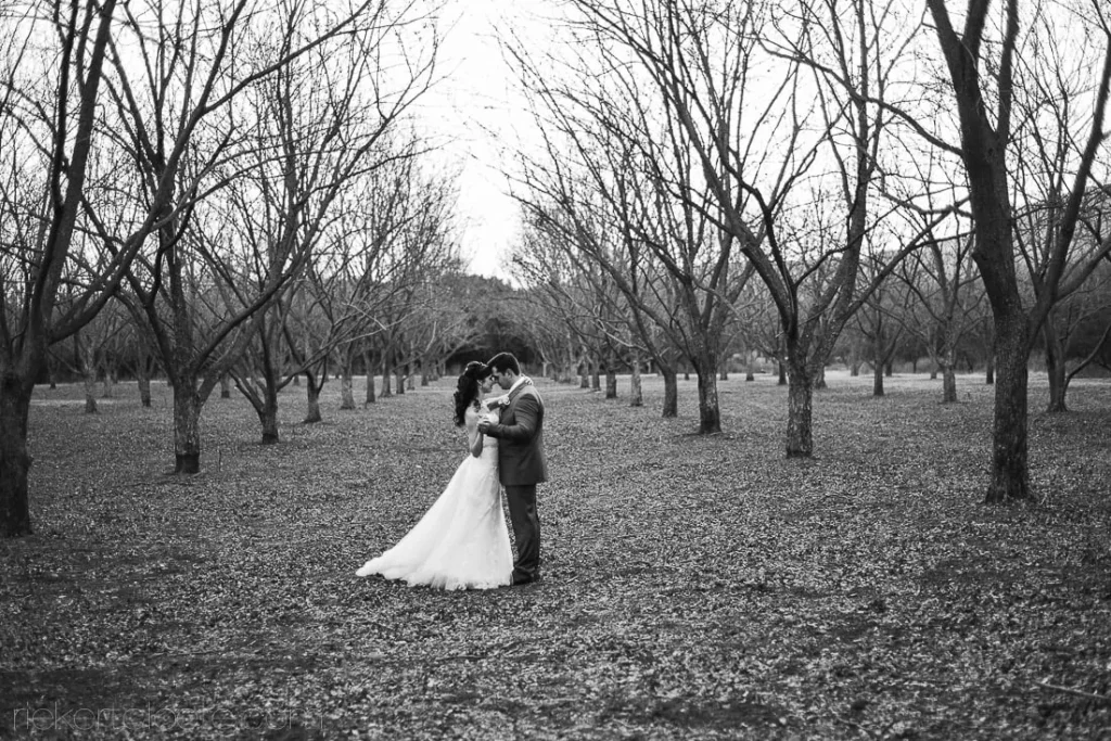 couple kissing winter bare orchard trees