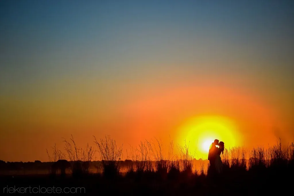 couple silhouette orange sunset bare winter trees