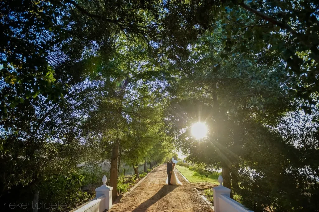 couple strolling tree lined driveway golden light