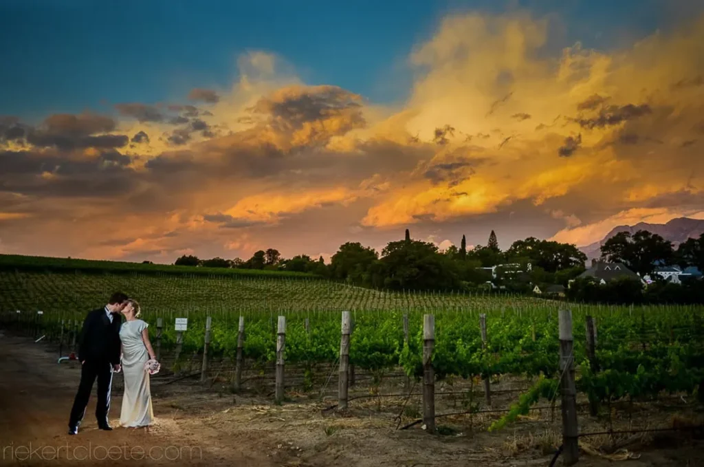 couple vineyard fence golden orange sunset