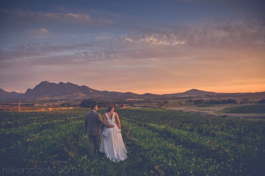 couple vineyard fields orange sunset mountains