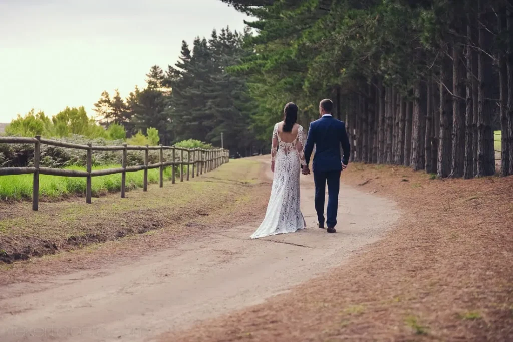 couple walking pine lined farm road away