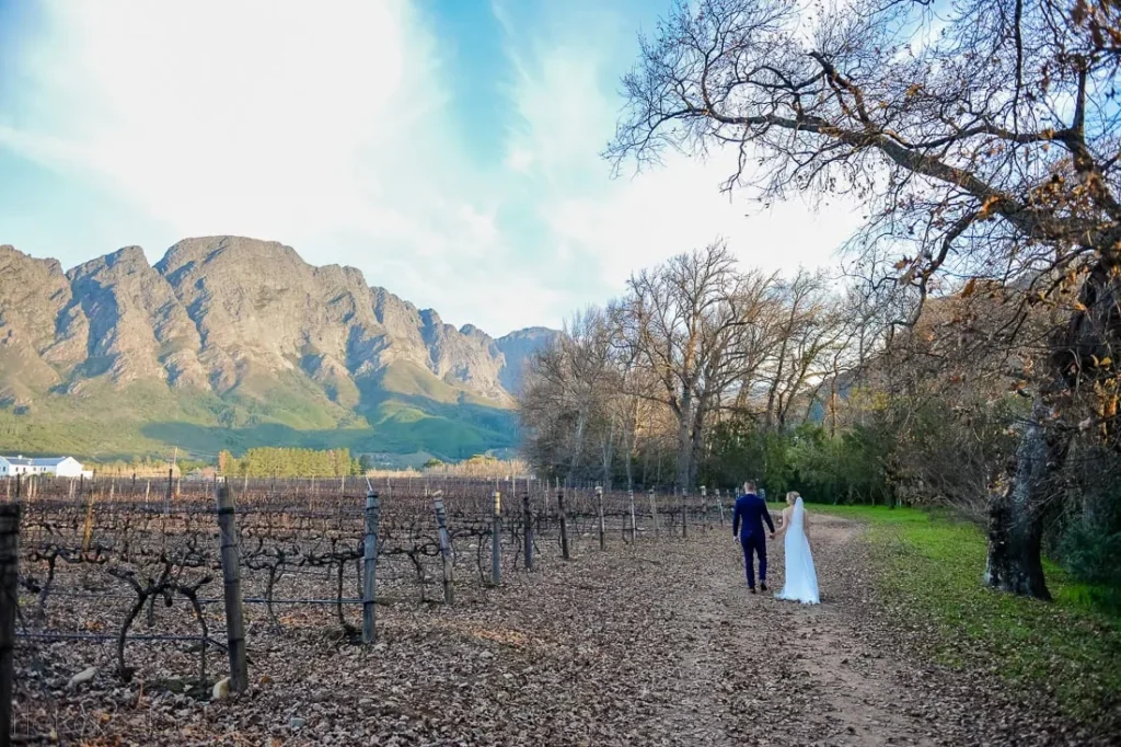 couple walking winter vineyard bare vines mountain