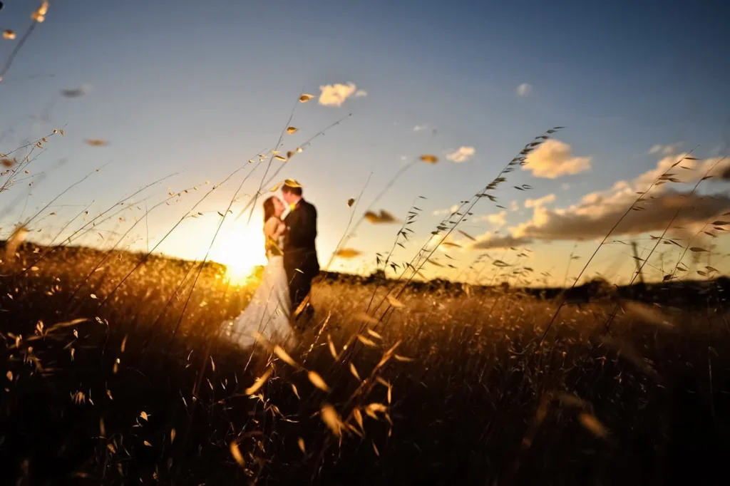 couple wheat field golden sunset hug