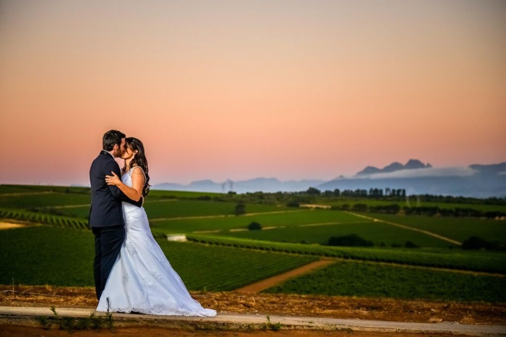 daria winery