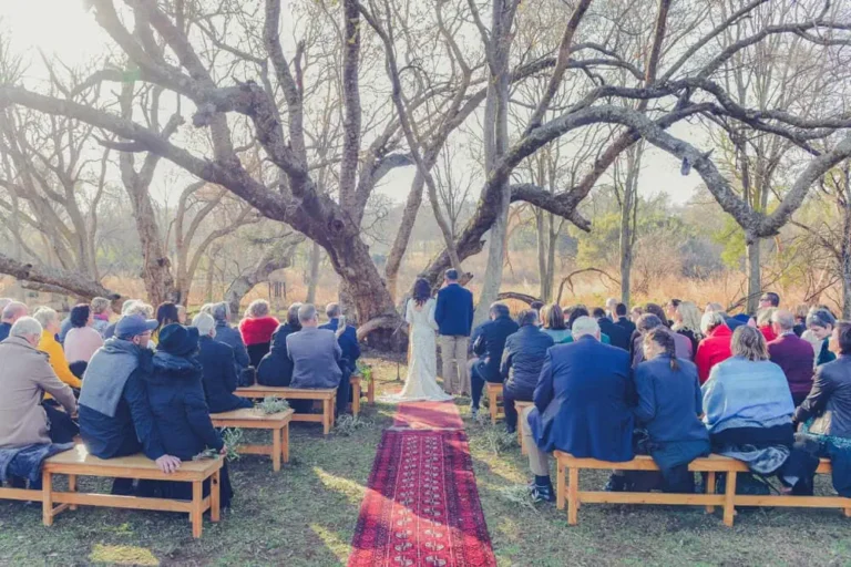 destination ceremony bare trees red runner wooden benches
