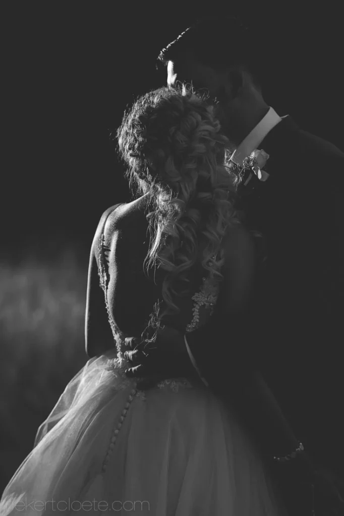 dramatic bride braided hair lace backless gown portrait