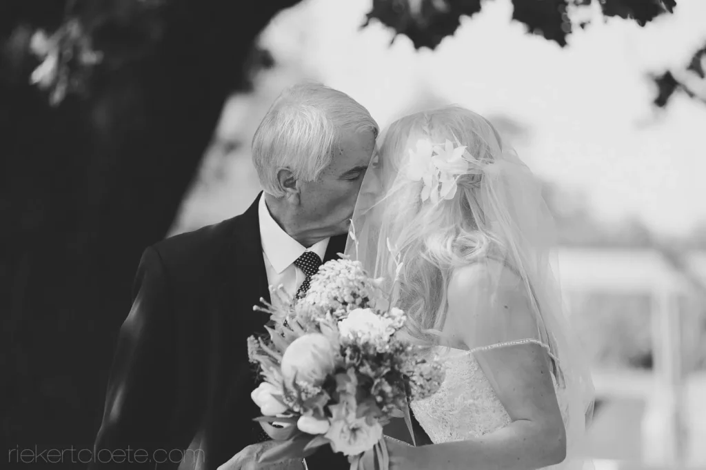 father kissing bride forehead protea bouquet wedding