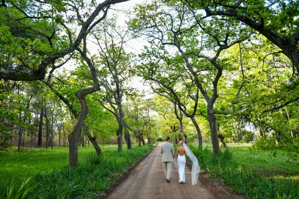 franschhoek elopement couple tree lined avenue