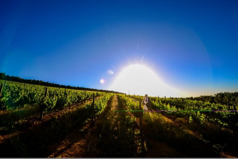 hidden valley wines wine tasting restaurant