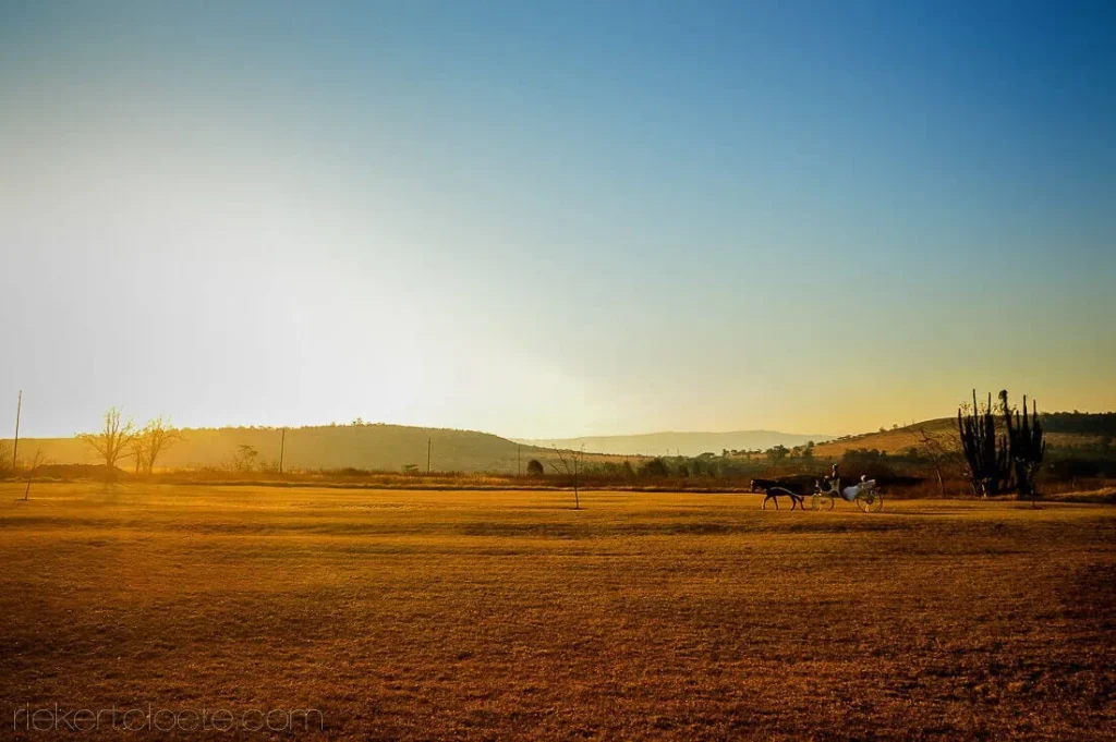 horse drawn carriage golden karoo sunset open plain