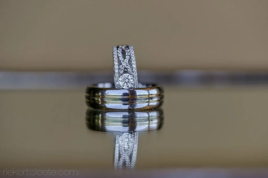 le petit dauphine split shank ring two tone band