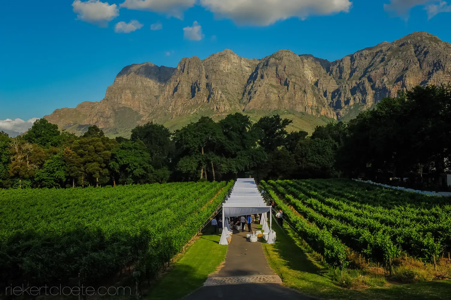 Molenvlei wedding photography Cape Town