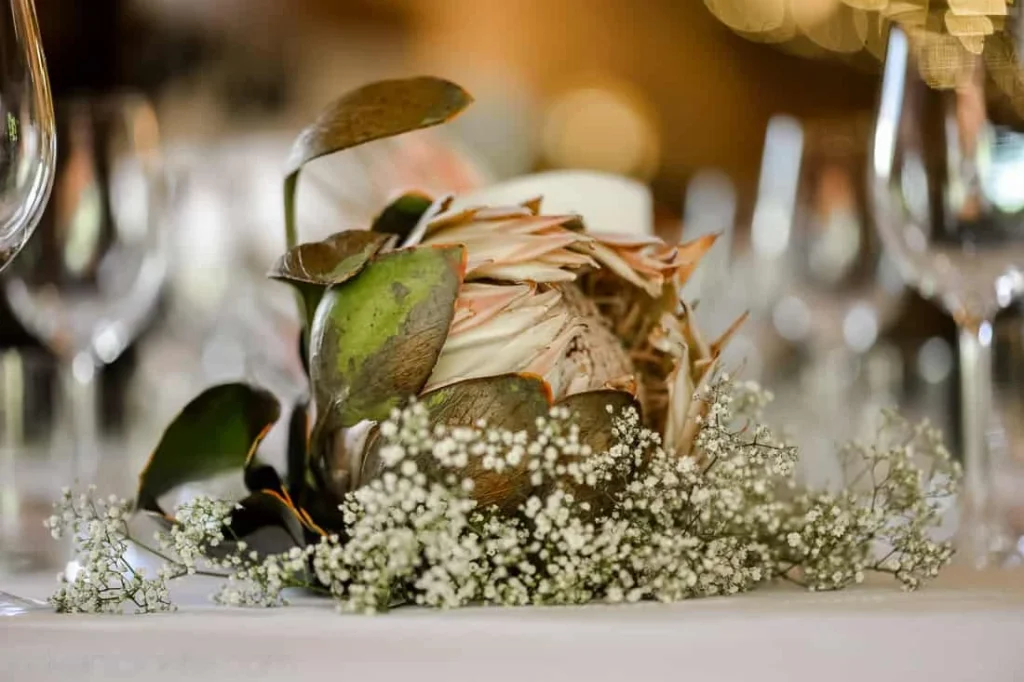 protea babys breath table centrepiece le petit dauphine