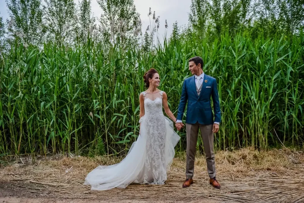 stellenbosch couple green reeds holding hands portrait