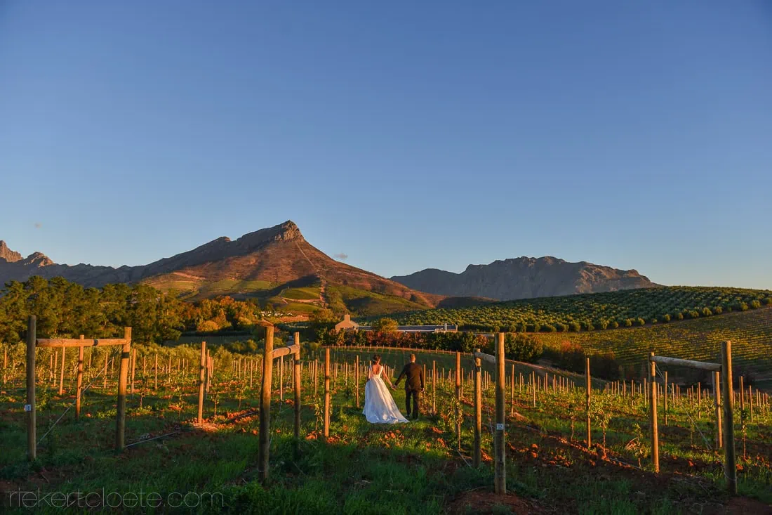 Tokara wedding photography Cape Town