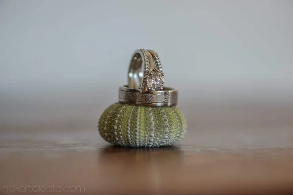 wedding rings balanced green sea urchin shell