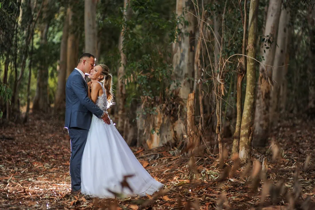 Couple portrait eucalyptus forest tulle gown – Allesverloren, Riebeek Valley & Swartland