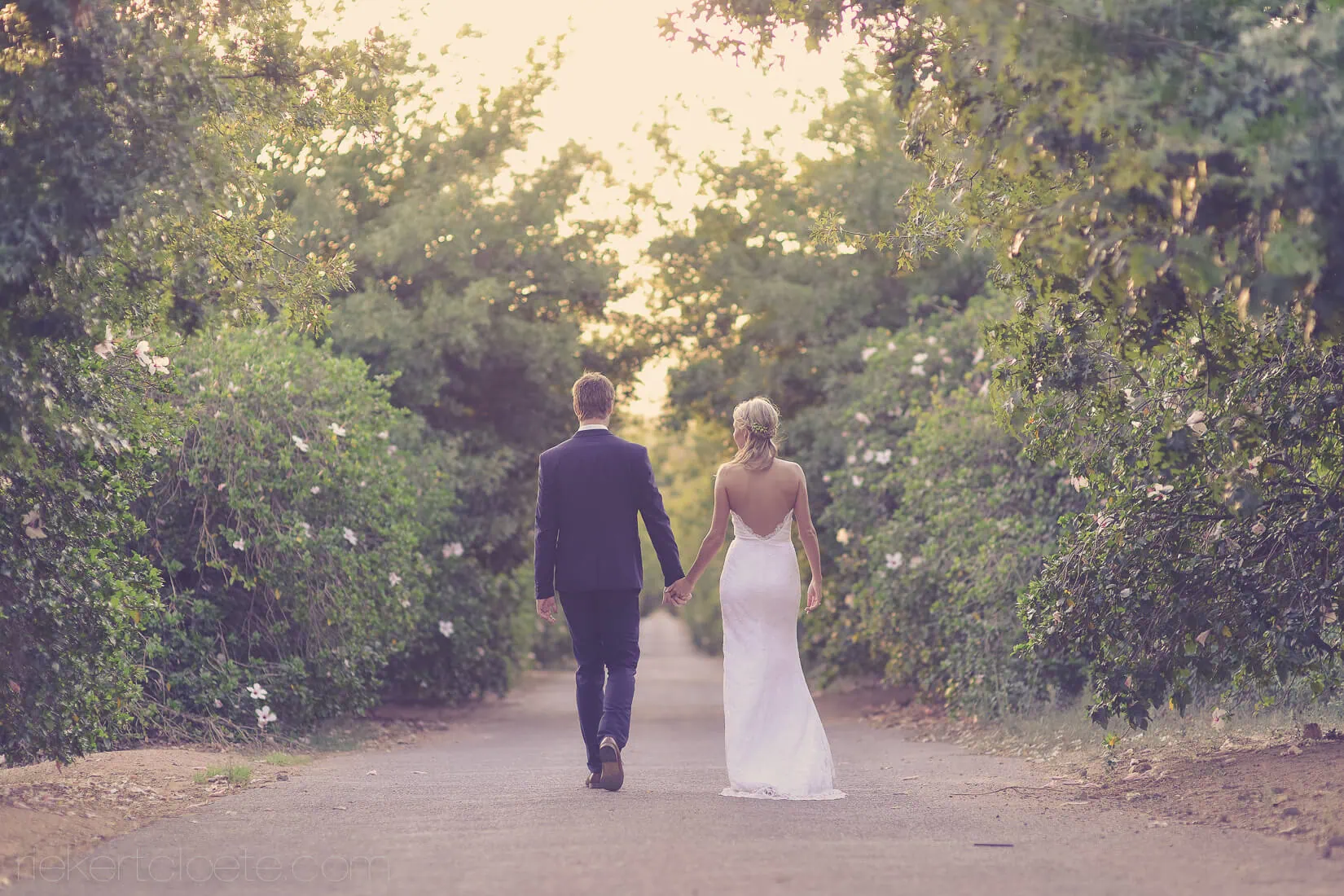 Couple walking away tree canopy garden path – Bakenhof, Paarl
