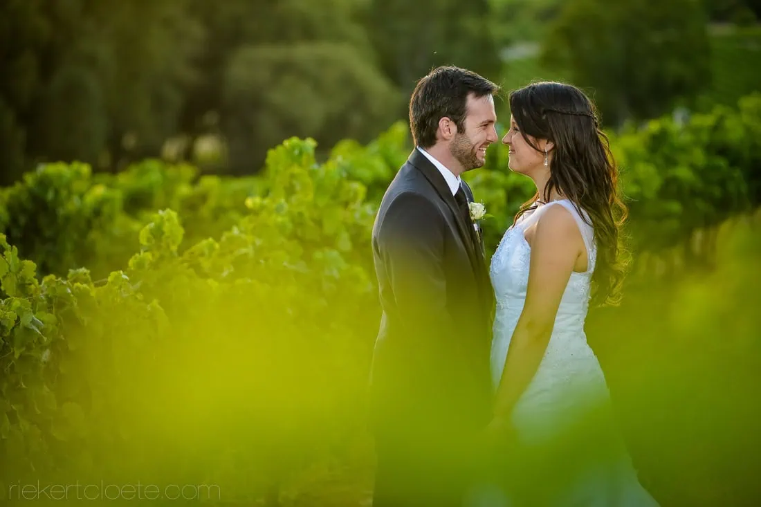 Couple romantic portrait vineyard golden hour – D'Aria Winery, Durbanville