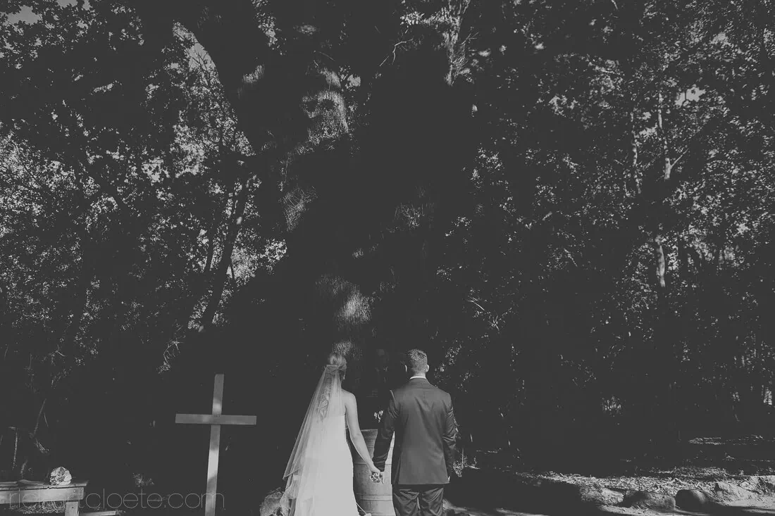 De uiljenes couple walking outdoor cross under trees – De Uijlenes, Hermanus