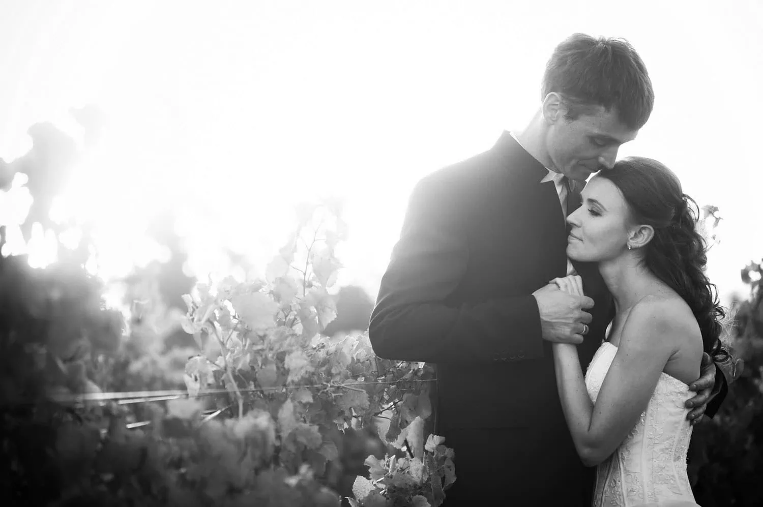 CARLOgroom kissing bride head vineyard dramatic light – Glen Carlou, Paarl