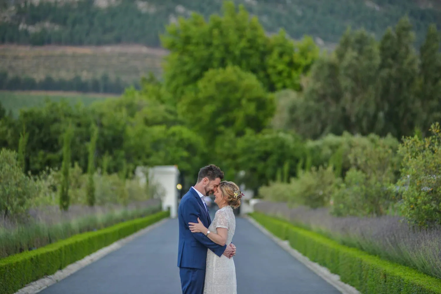 Bride and groom on the tree-lined estate driveway at Grande Provence, Franschhoek